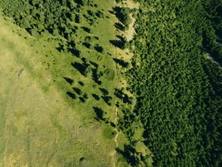 Large area of land with green trees and grass 